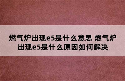 燃气炉出现e5是什么意思 燃气炉出现e5是什么原因如何解决